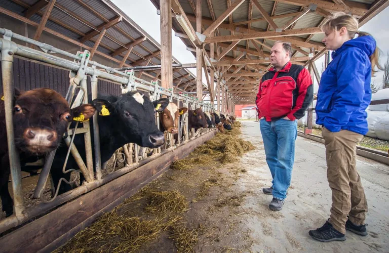 Omlegging til økologisk drift